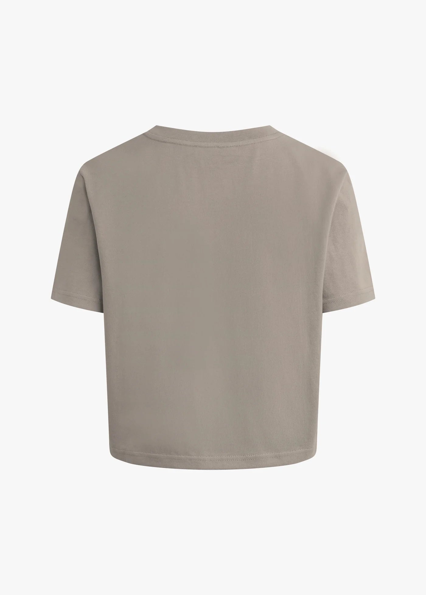 Favorite Daughter The Favorite Tee in Soft Taupe