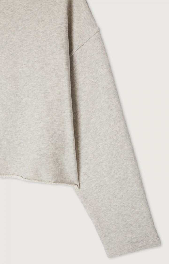 American Vintage Sweater in Polar Melange