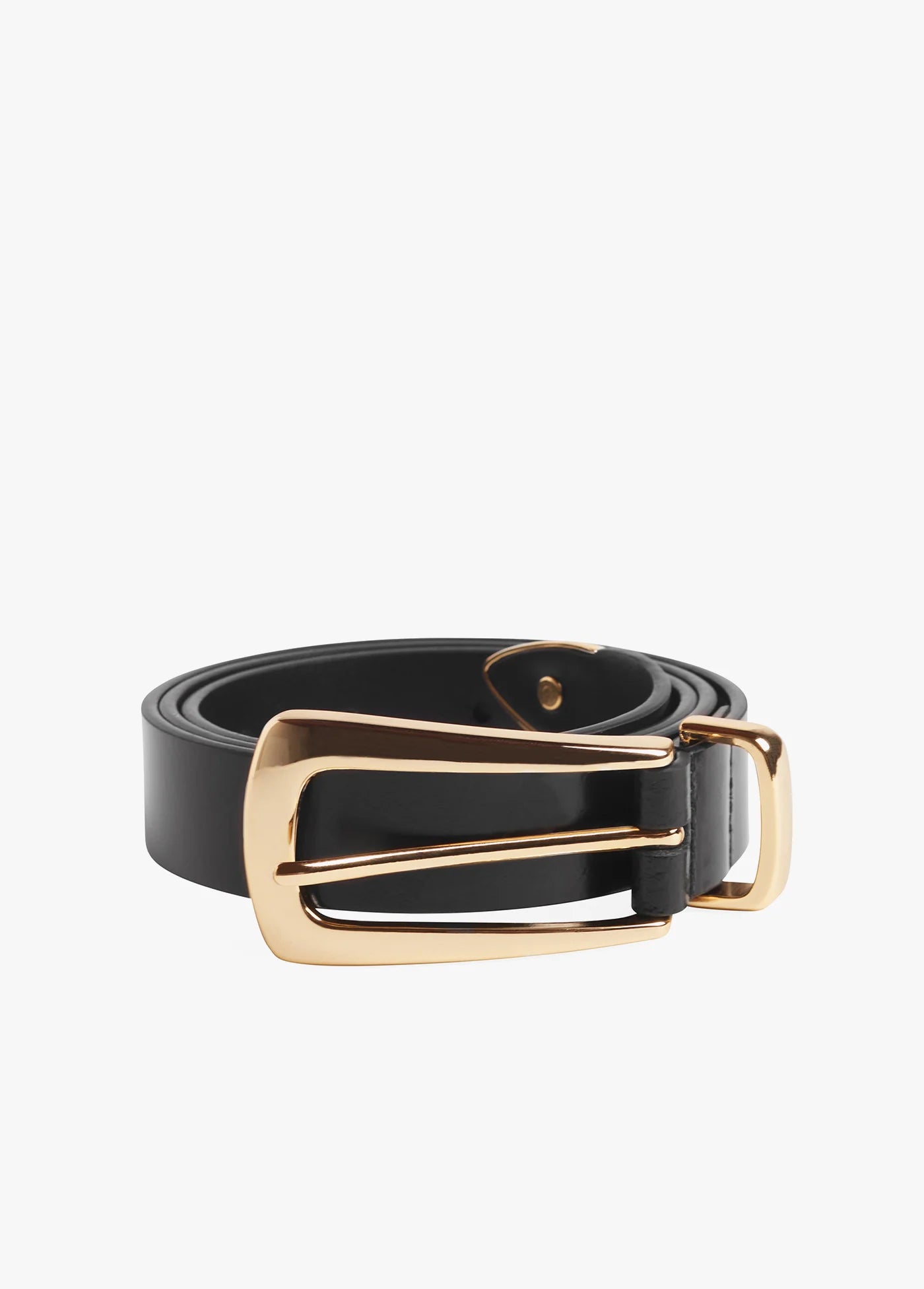 Favorite Daughter The Statement Belt Black Gold