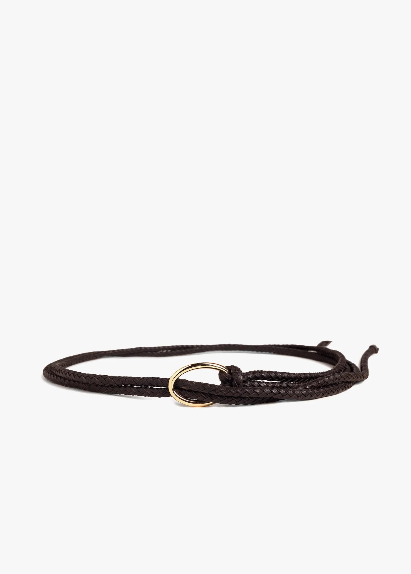 Favorite Daughter Woven Knot Belt in Brown/Polished