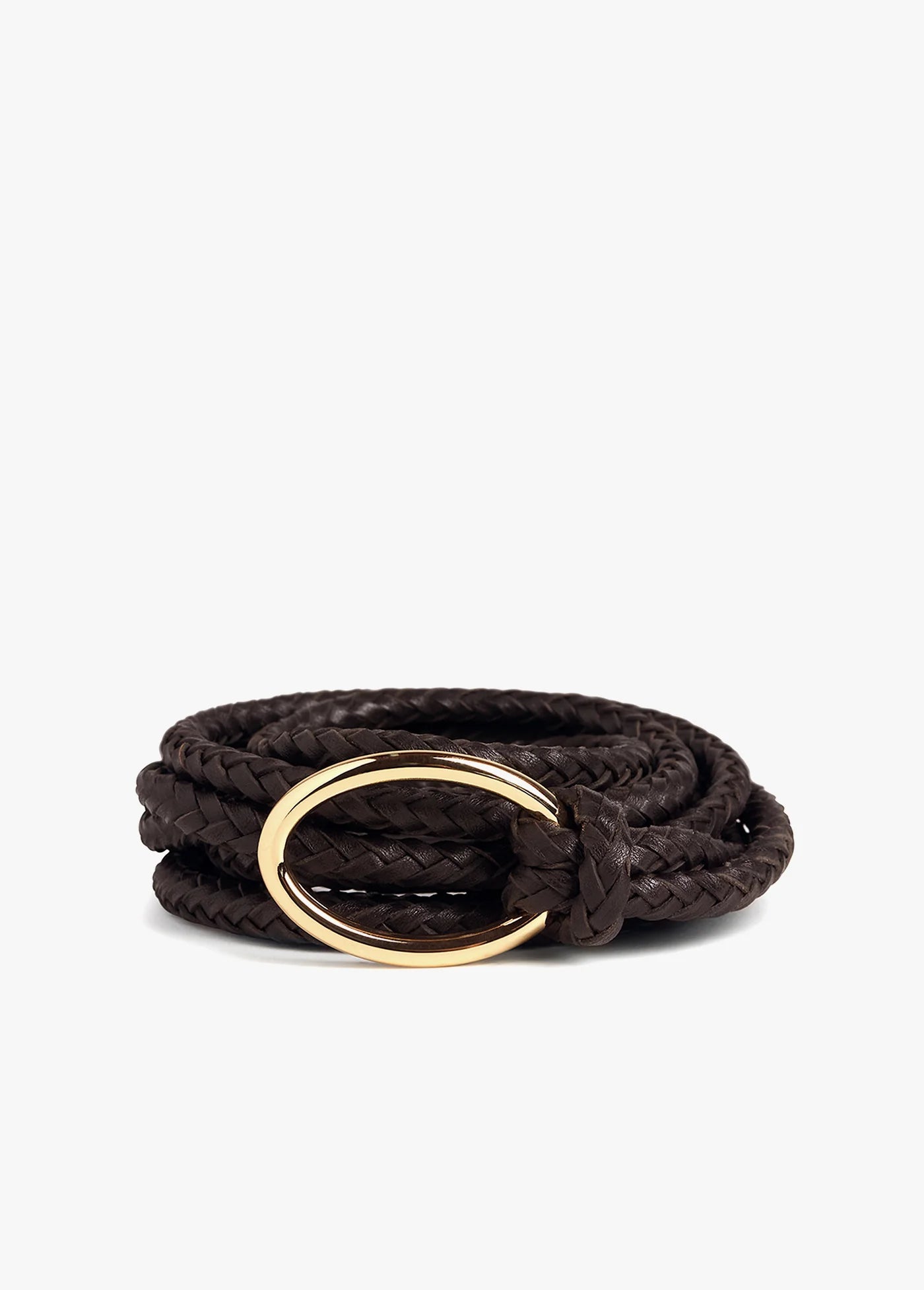 Favorite Daughter Woven Knot Belt in Brown/Polished